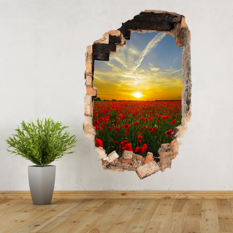 Vinyl Wall Art - Add Your Photo - Hole in Wall Portrait